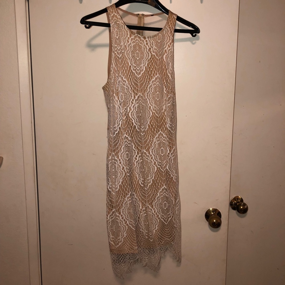 NEW Lace Scallop Dress